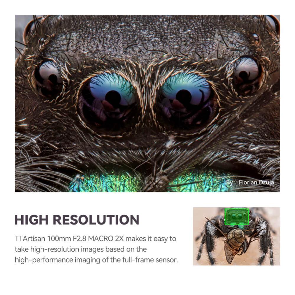 TTArtisan 100mm f/2,8 Makro 2x til Canon EF (fullformat)