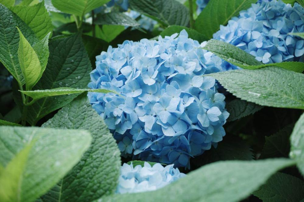 7Artisans AF 27mm f/2.8 objektiv APS-C för Nikon Z