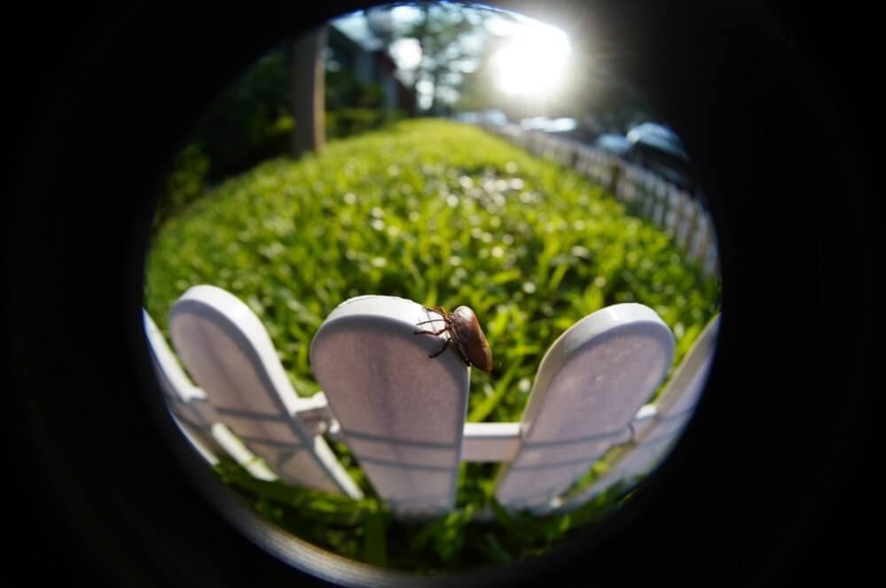 TTArtisan 7.5mm f/2.0 Fisheye-objektiv för Canon EOS RF