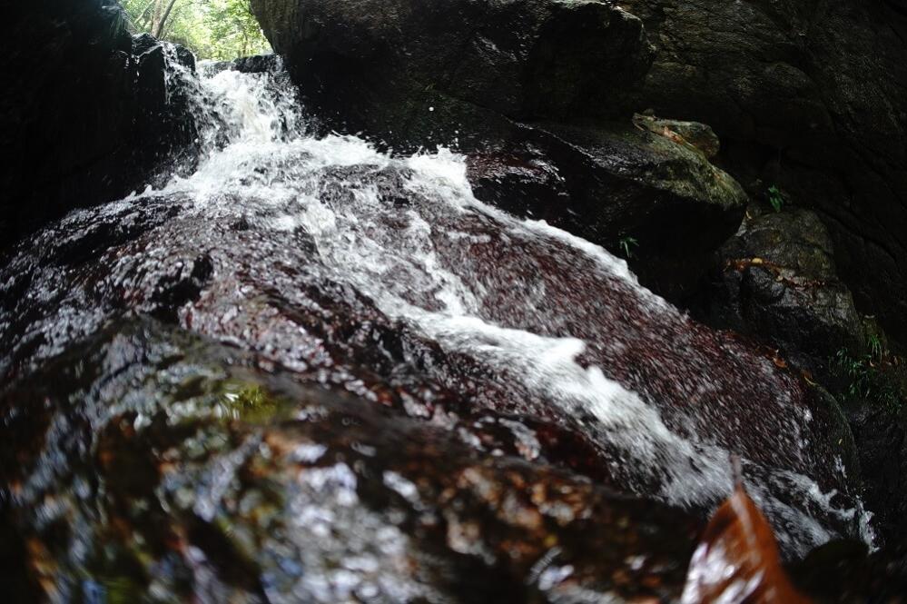 TTArtisan 7.5mm f/2.0 Fisheye-objektiv för Canon EOS RF