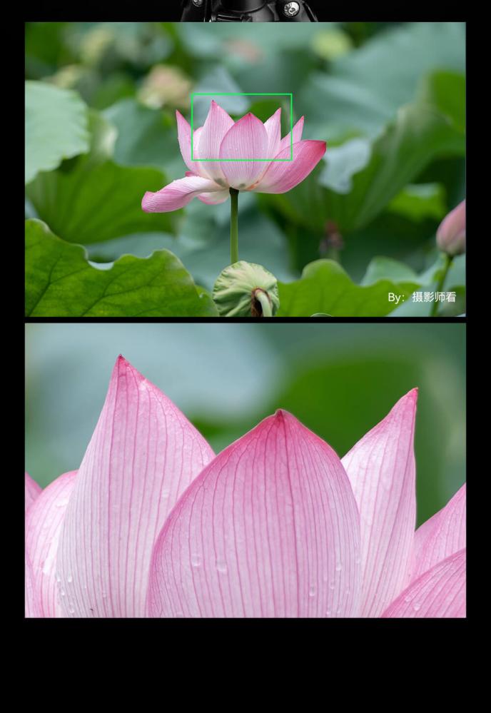 TTArtisan 500mm f/6,3 til Leica L (fullformat)