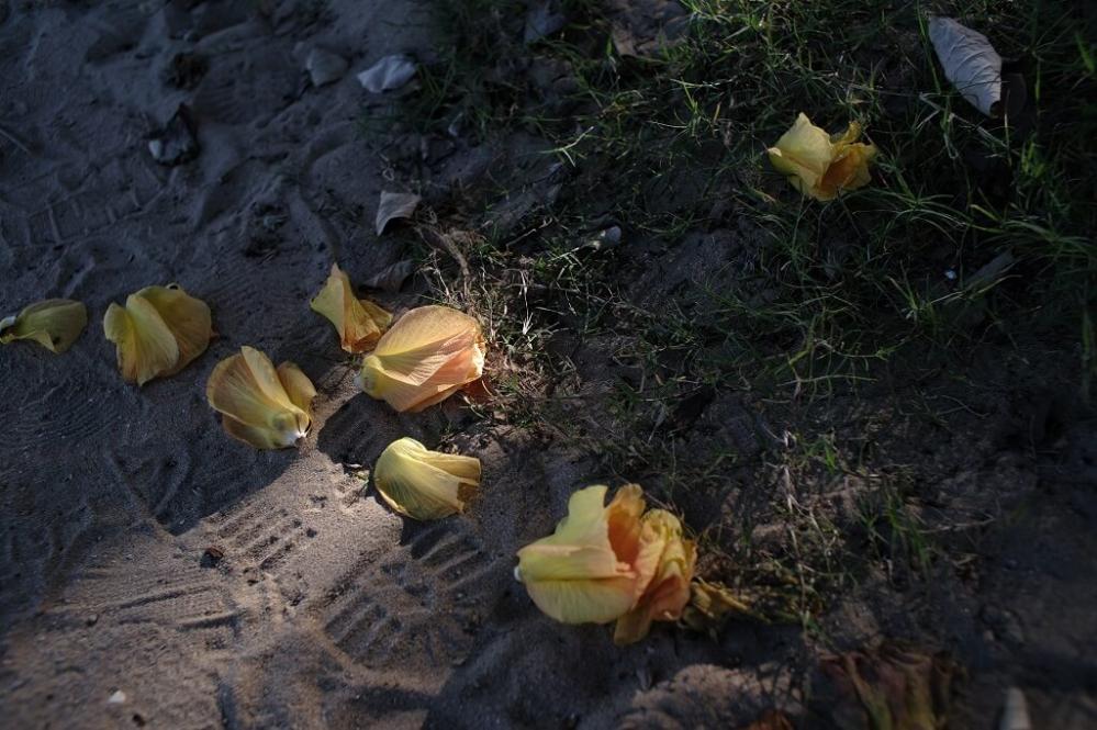 7Artisans 24mm f/1.4 objektiv APS-C för Micro 4/3