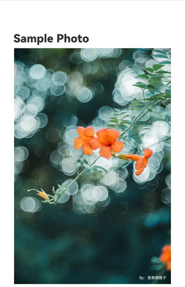 TTArtisan 100mm f/2,8 Soap Bubble Bokeh objektiv til Leica M