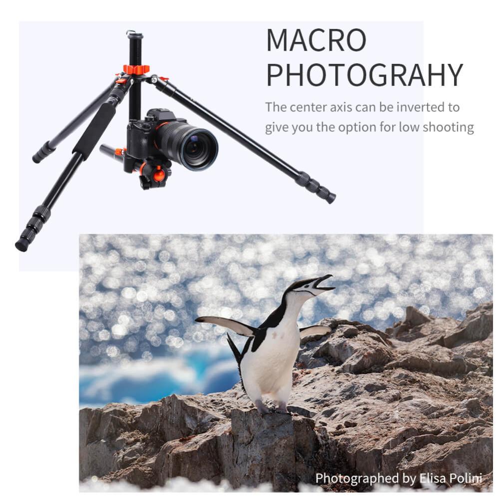 K&F Concept Kamerastativ med kulled & fällbar mittpelare 185cm