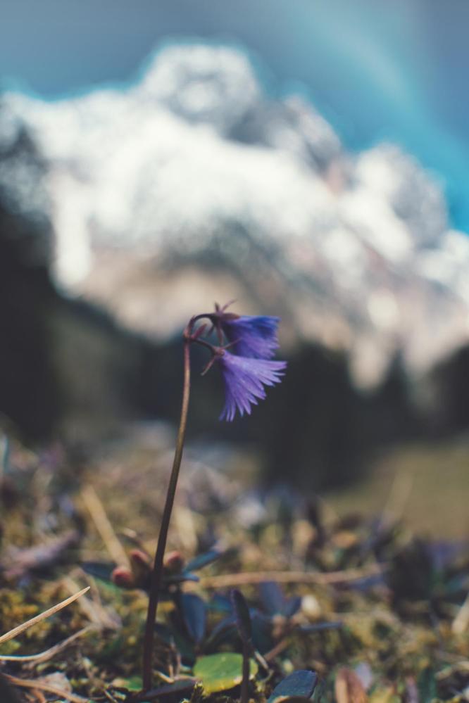 7Artisans 25mm f/1.8 objektiv APS-C för Fujifilm X