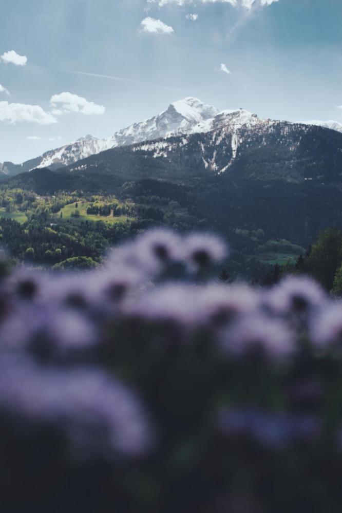 7Artisans 25mm f/1.8 objektiv APS-C för Fujifilm X