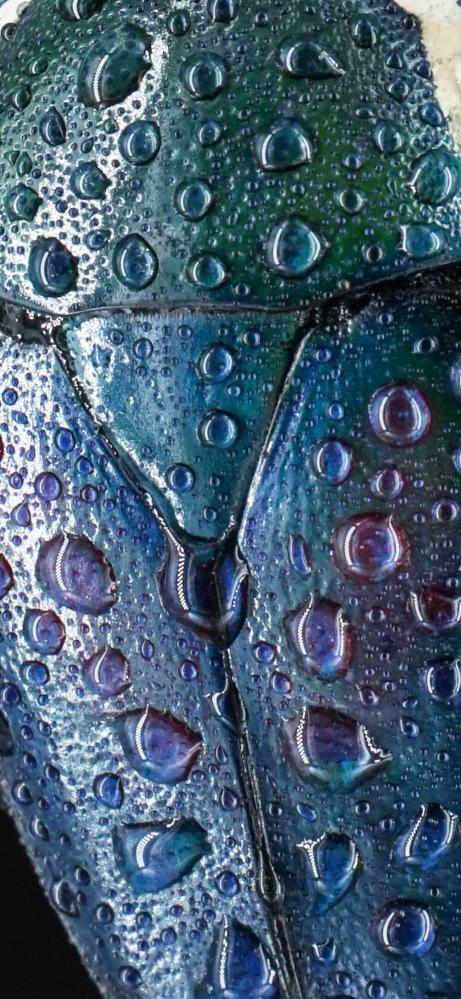 7Artisans 60mm f/2.8 Mark II Makroobjektiv APS-C för Leica L