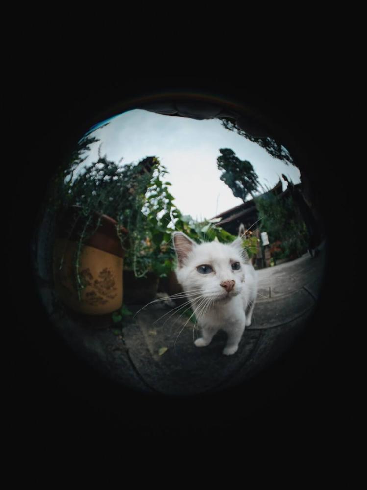 7Artisans 4mm f/2.8 Fisheye-objektiv APS-C för Canon EOS M