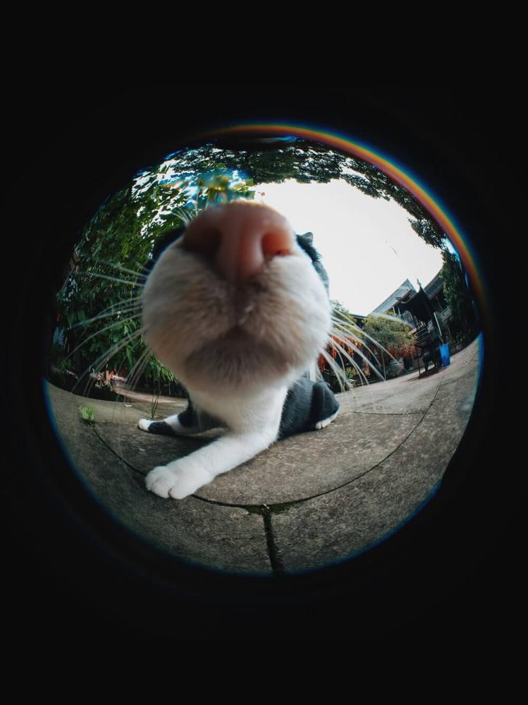 7Artisans 4mm f/2.8 Fisheye-objektiv APS-C för Canon EOS M