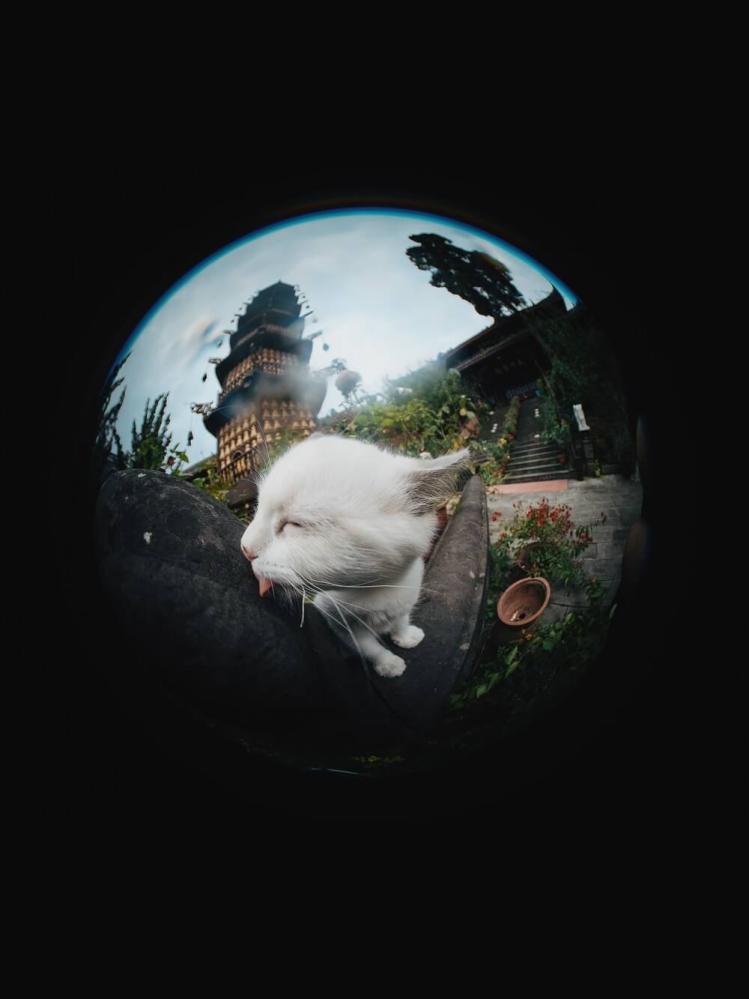 7Artisans 4mm f/2.8 Fisheye-objektiv APS-C för Canon EOS M