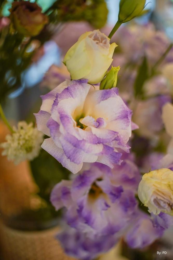 TTArtisan 25mm f/2.0 APS-C objektiv för Fujifilm X