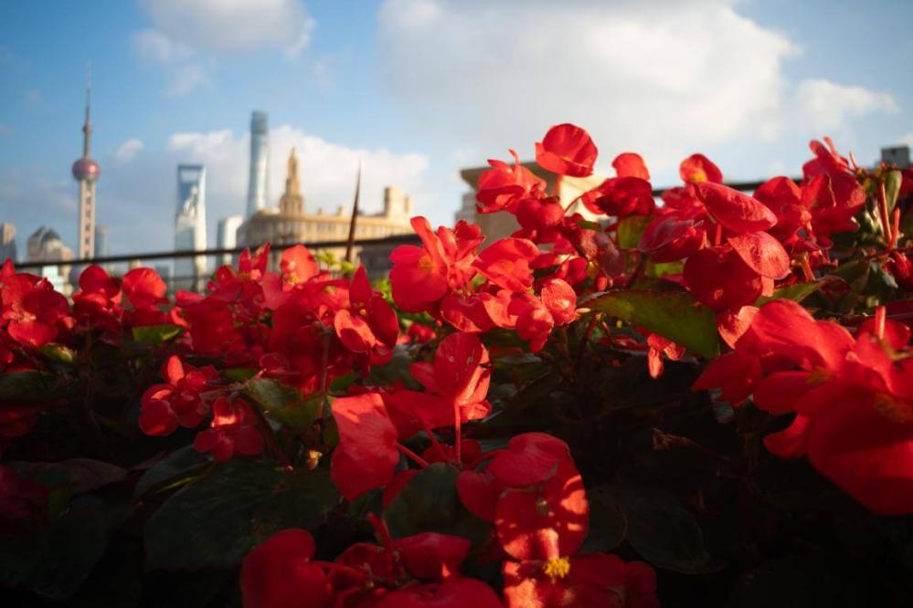 7Artisans 18mm f/6.3 Mark II UFO objektiv för Nikon Z