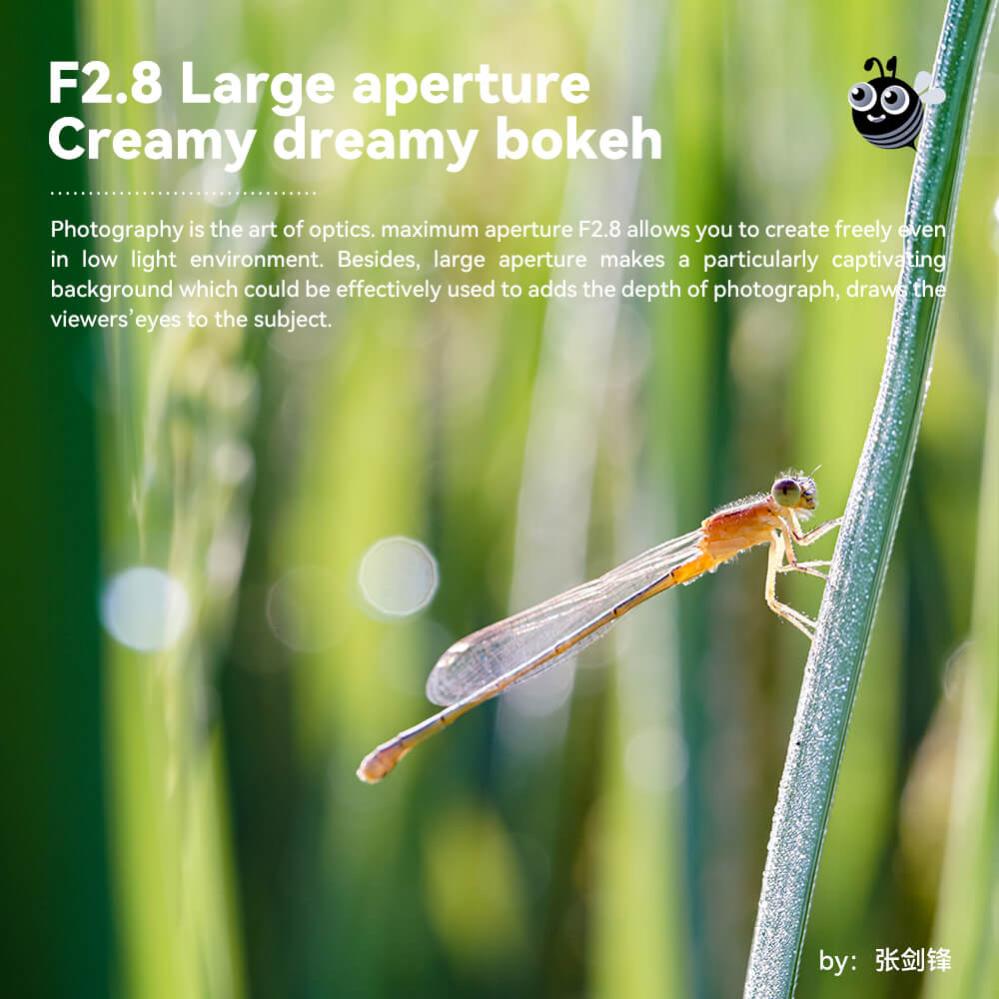 TTArtisan 40mm f/2.8 APS-C Makroobjektiv för Nikon Z