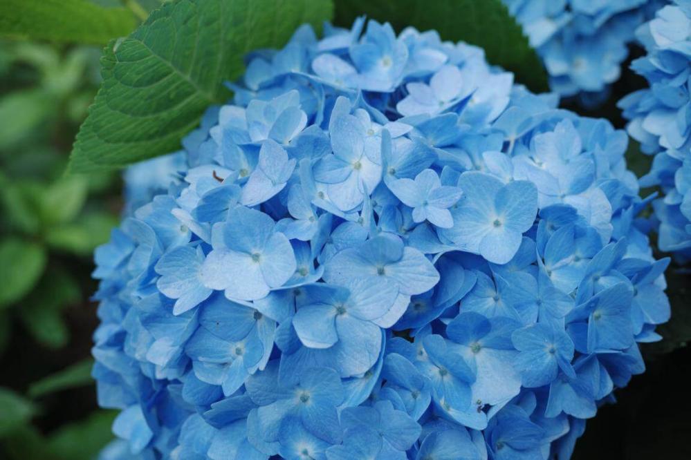 7Artisans AF 27mm f/2.8 objektiv APS-C för Fujifilm X