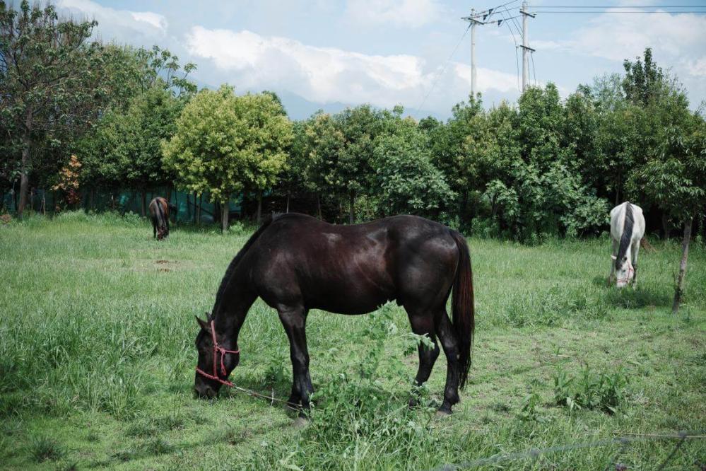 7Artisans AF 27mm f/2.8 objektiv APS-C för Fujifilm X