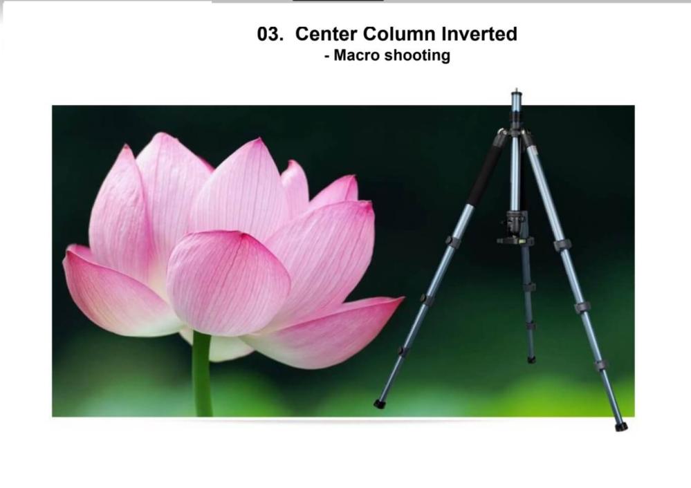 Nest 6264CK Kamerastativ 150cm kolfiber med kulled NT-630H