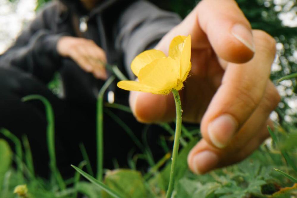 AstrHori 28mm f/13 Macro Probe 360° objektiv til Nikon Z (Fullframe)