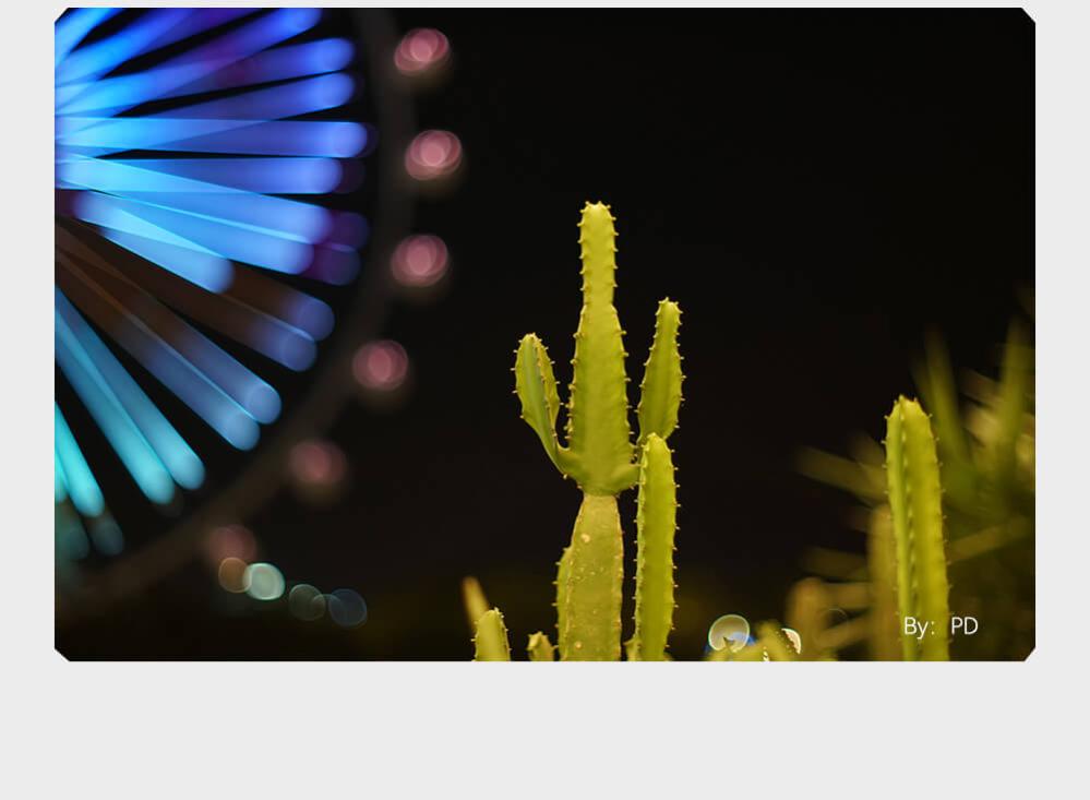 TTArtisan Tilt 50mm f/1,4 objektiv til Canon RF fullformat