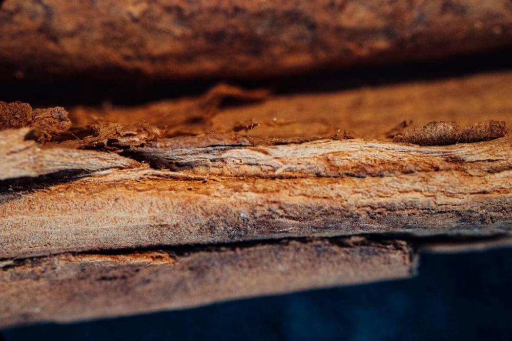 7Artisans 60mm f/2,8 Makro 2x objektiv til Nikon Z (Fullframe)