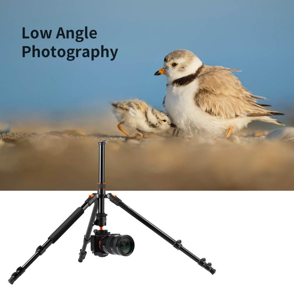 K&F Concept Kamerastativ med Panorama kulled 163cm