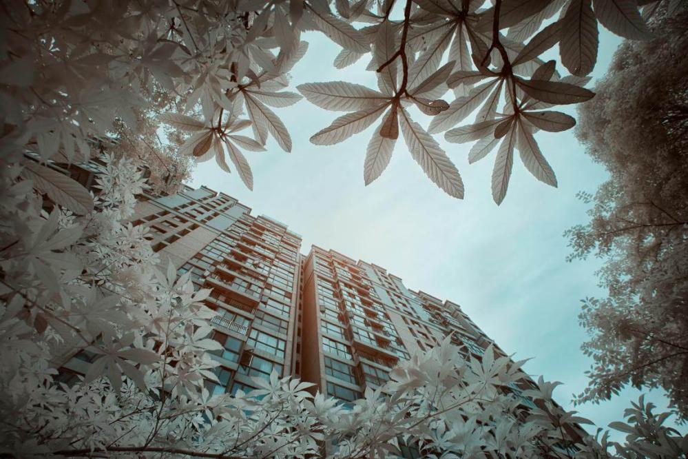 Haida 105 mm NanoPro IR-filter 720 nm