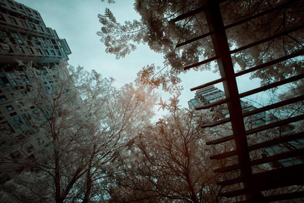 Haida 105 mm NanoPro IR-filter 720 nm