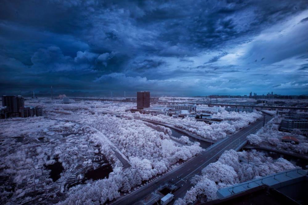 Haida 105 mm NanoPro IR-filter 720 nm