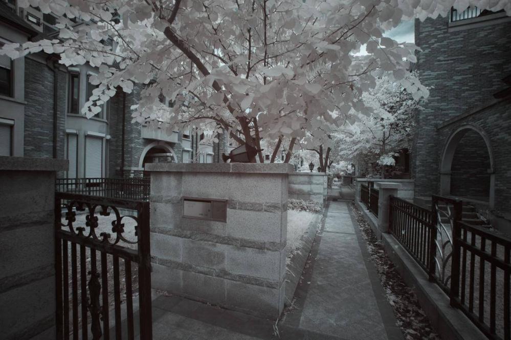 Haida 105 mm NanoPro IR-filter 720 nm