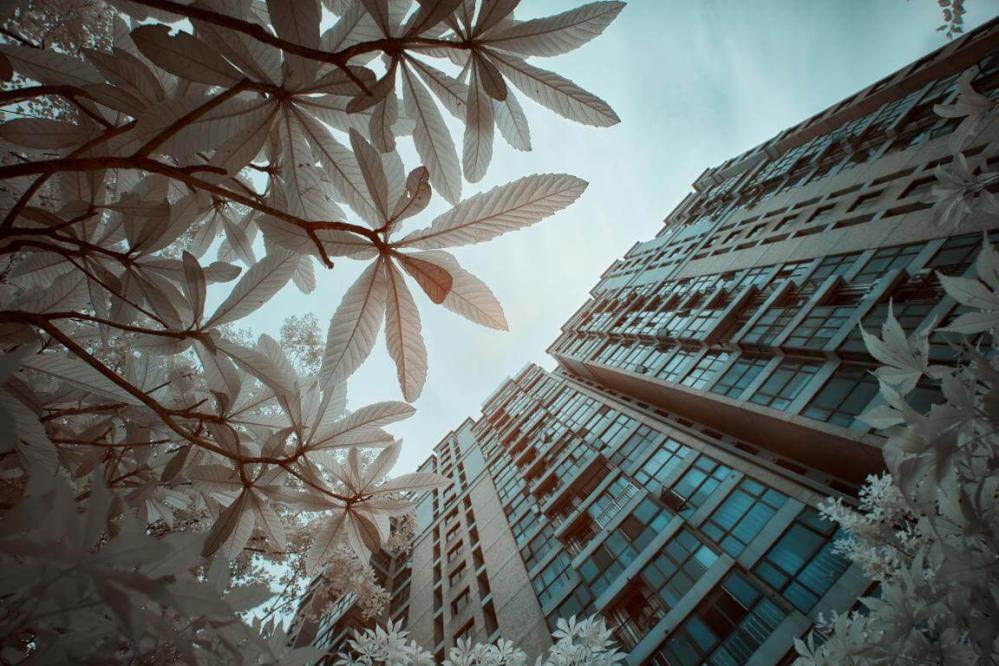 Haida 105 mm NanoPro IR-filter 720 nm