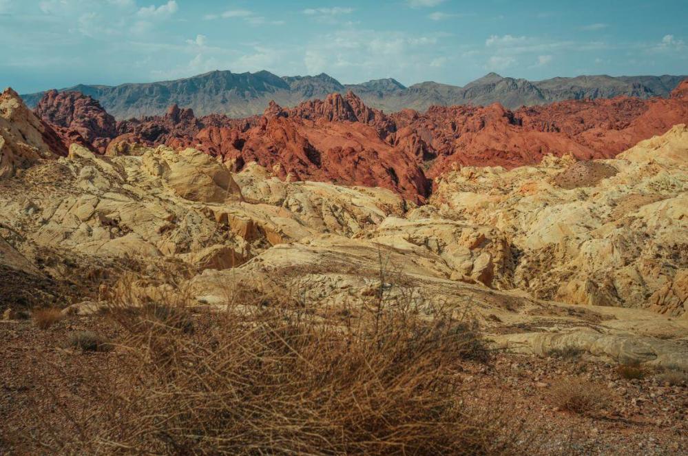 7Artisans M35mm f/2,0 II objektiv til Leica M