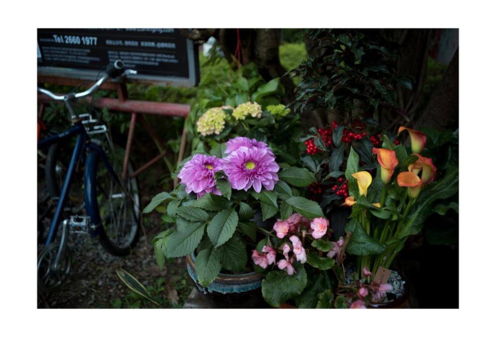 7Artisans M35mm f/2,0 II objektiv til Leica M