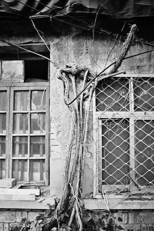 7Artisans 18mm f/6.3 Mark II UFO objektiv för Nikon Z