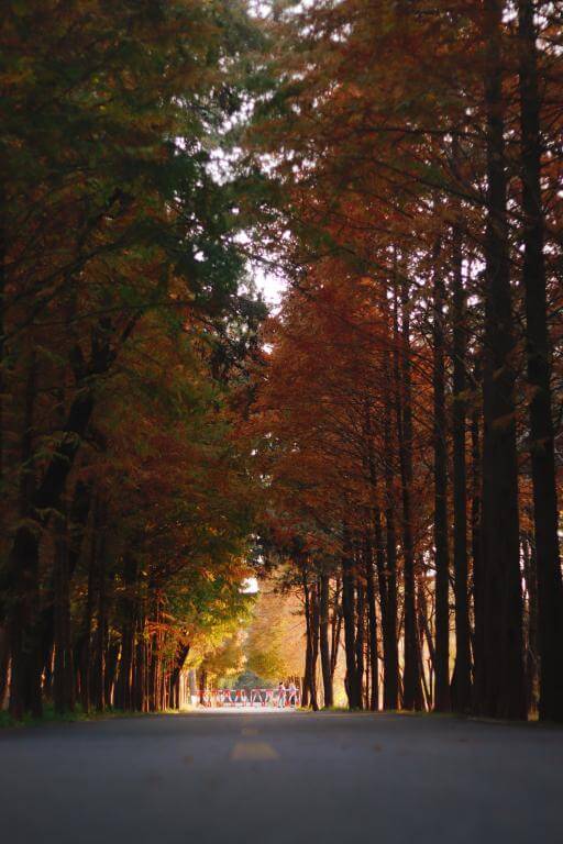 7Artisans 18mm f/6.3 Mark II UFO objektiv för Nikon Z