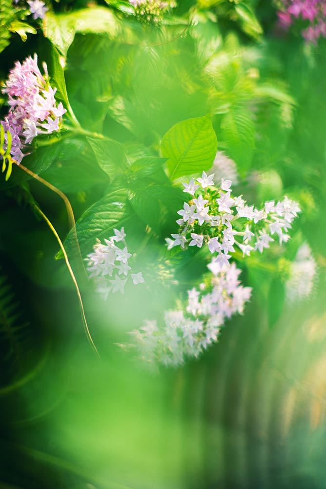 7artisans-75mm-f125-objektiivi-leica-m-kameroille