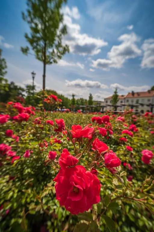 7Artisans 10mm f/3.5 objektiv för Sony E