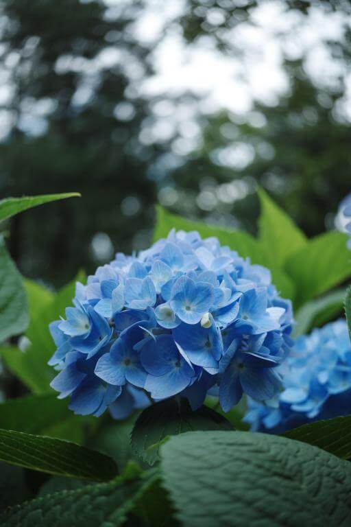 7Artisans AF 27mm f/2.8 objektiv APS-C för Fujifilm X