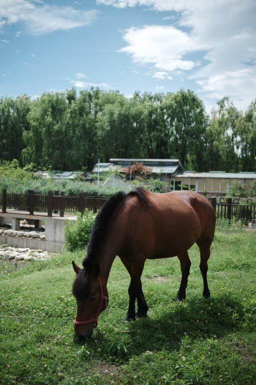 7Artisans AF 27mm f/2.8 objektiv APS-C för Fujifilm X