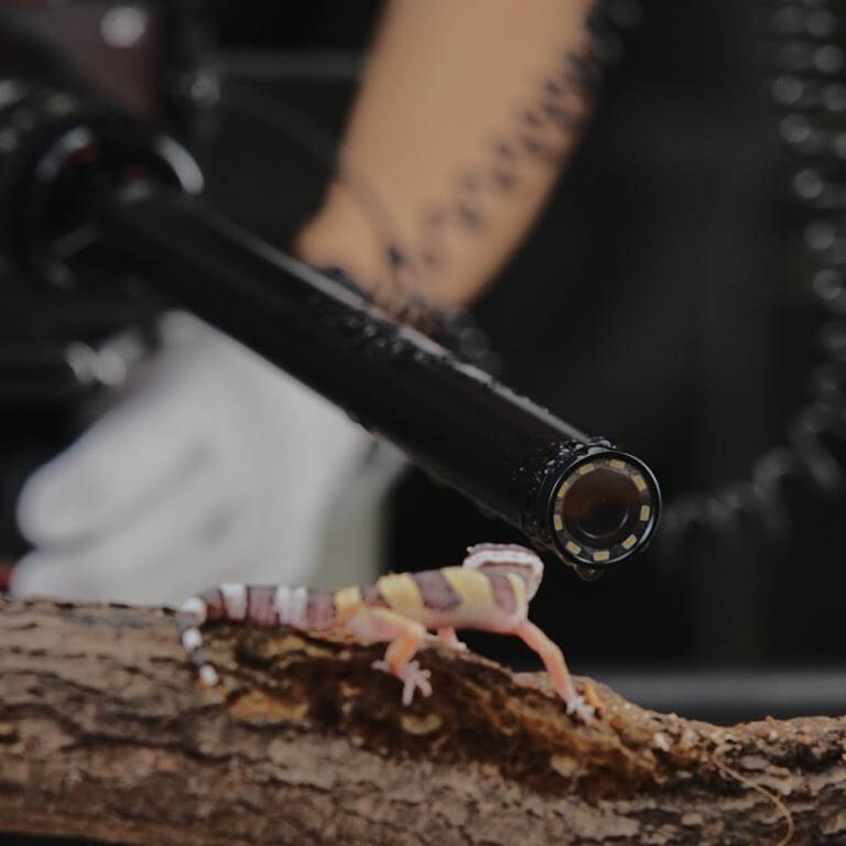 AstrHori 28mm f/13 Macro Probe-objektiv til Canon RF fullformat