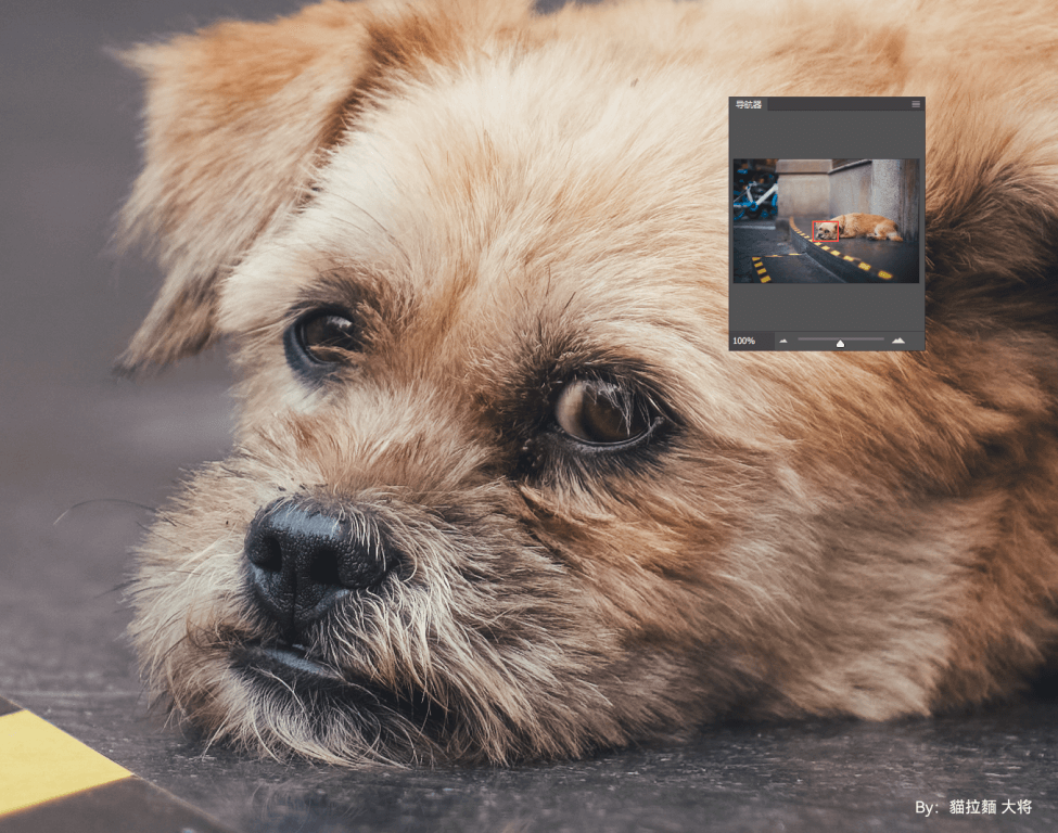 TTArtisan 50mm f/0,95 objektiv til Leica M