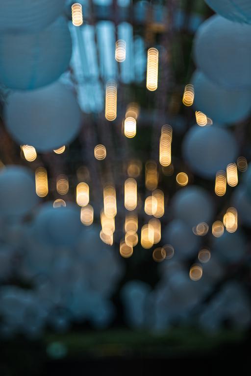 TTArtisan 100mm f/2.8 objektiv Soap Bubble Bokeh M42-fattning