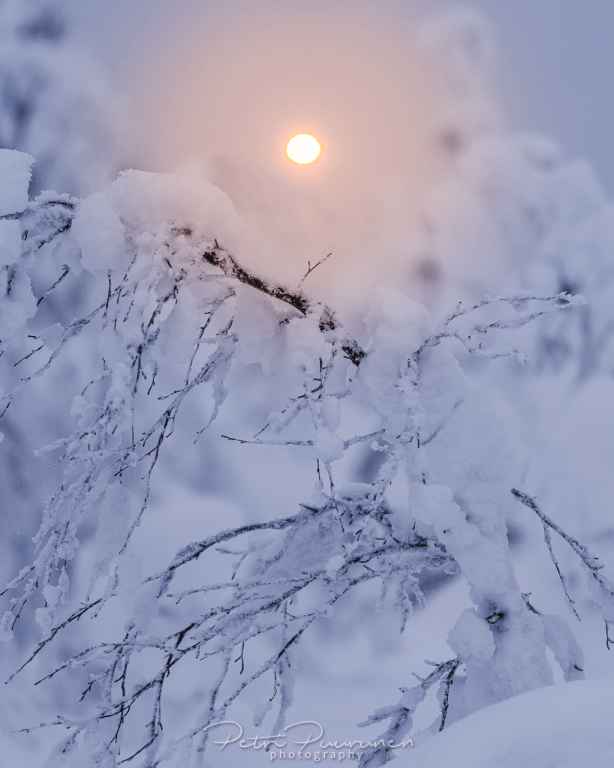Haida NanoPro magnetisk cirkulært polarisationsfilter med adapterring