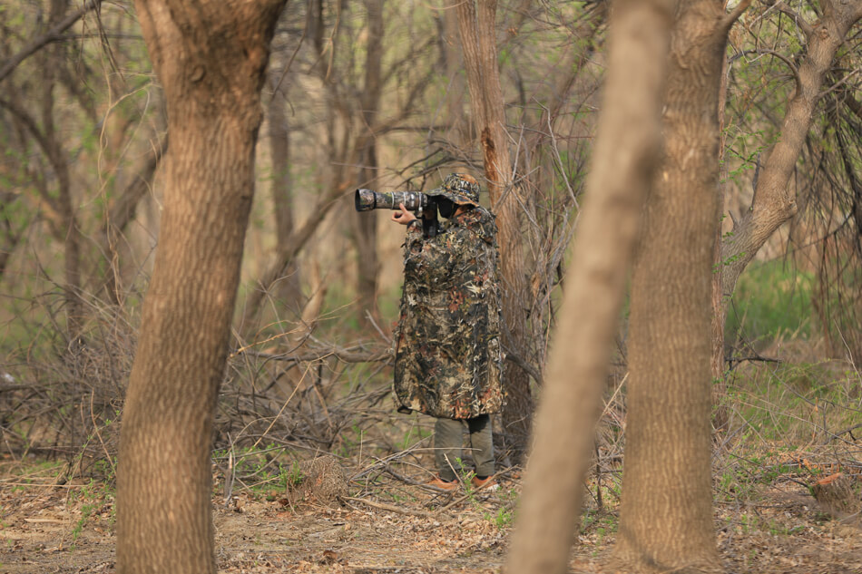 Rolanpro Kamouflagefärgad poncho 3D-modell med lönnlöv för naturfotografen